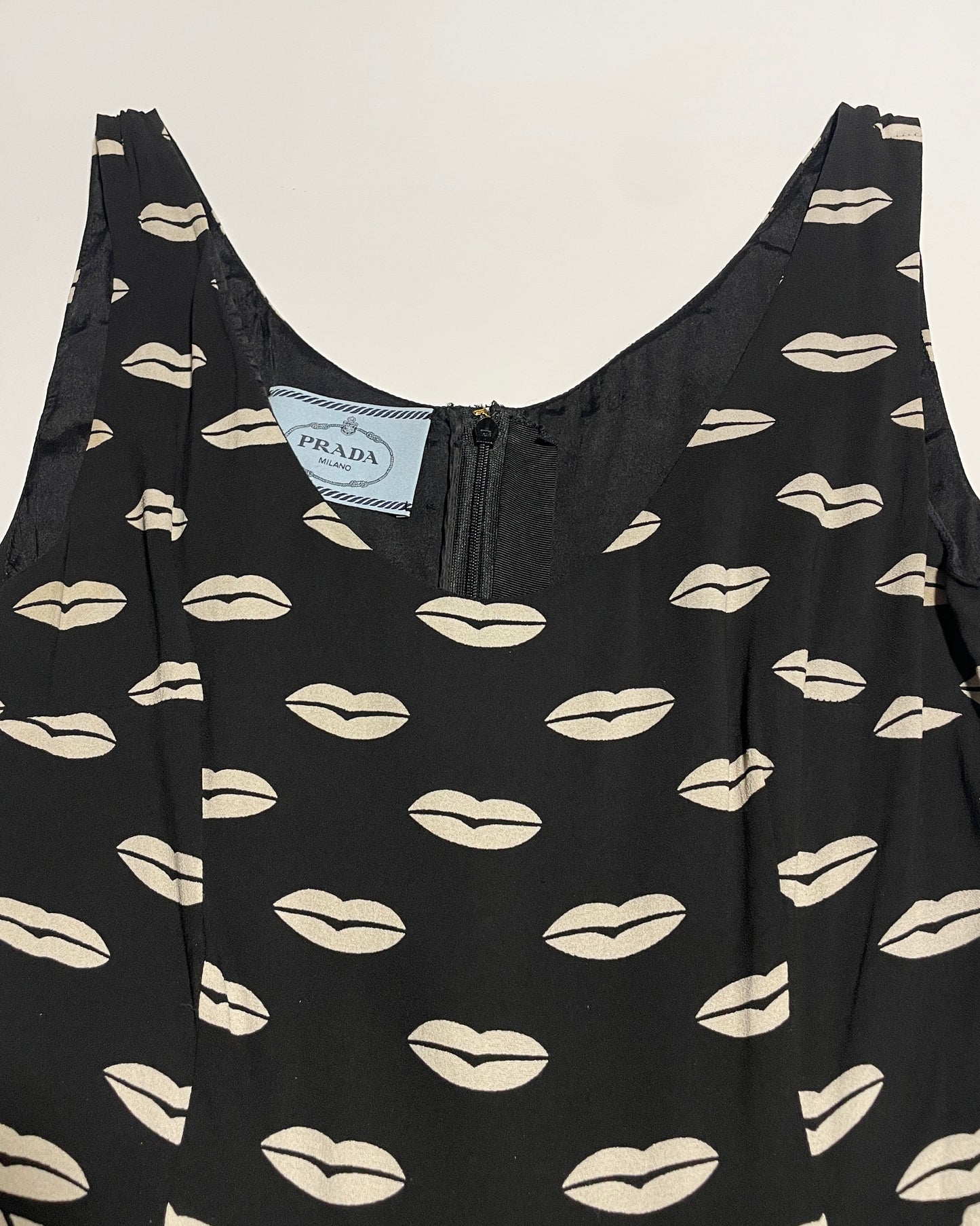 Prada Resort 2012 Lip Print Dress